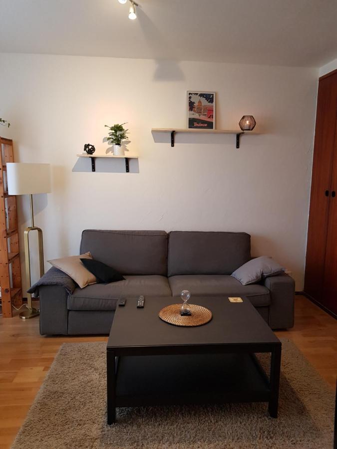 טולוז Superbe Appartement En Residence Avec Parking מראה חיצוני תמונה